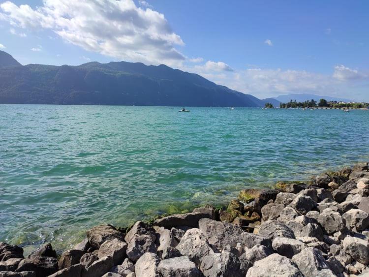 Appartamento Le Lamartine, Vue Magnifique Face Au Du Bourget *